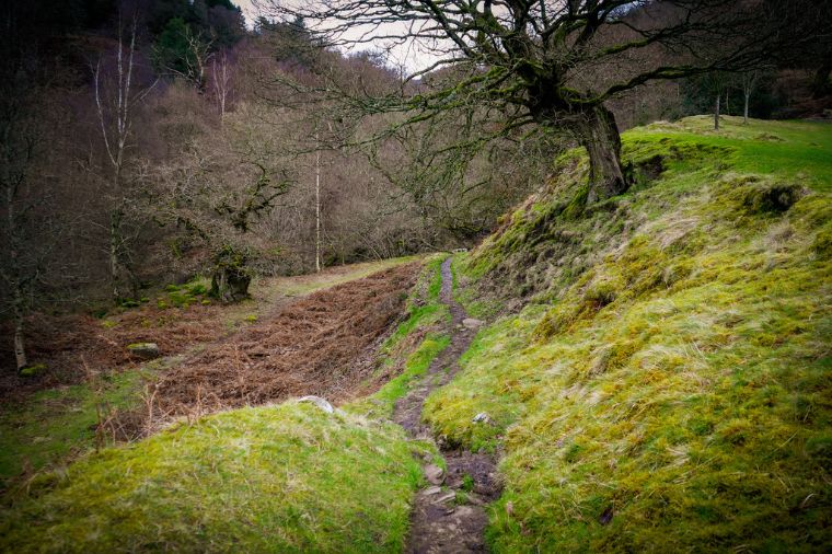 How to walk to Posforth Gill Waterfall From Bolton Abbey