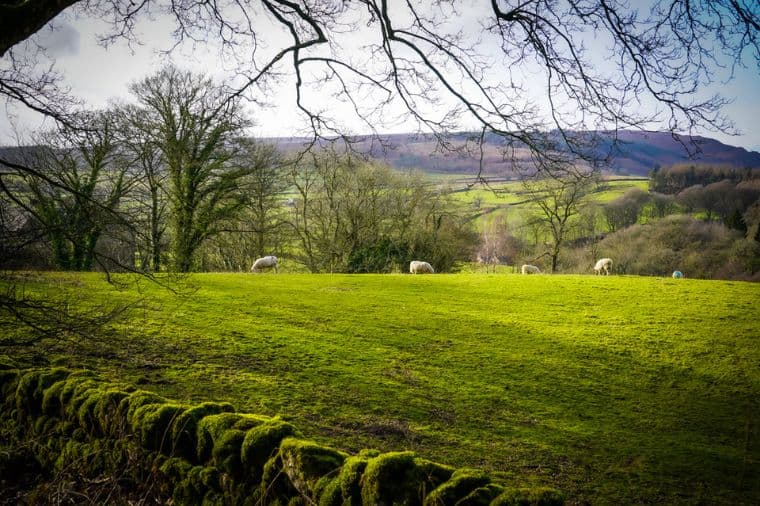 Places to stay near Bolton Abbey - Catgill Farm Camping and Glamping