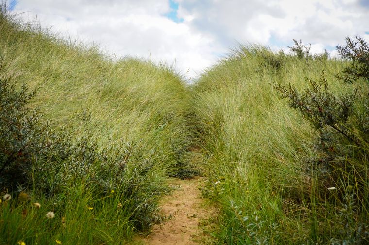 Things to do at Spurn Point - Spurn Point Bike Hire