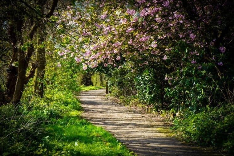 Free Things to do in Leeds - Middleton Park