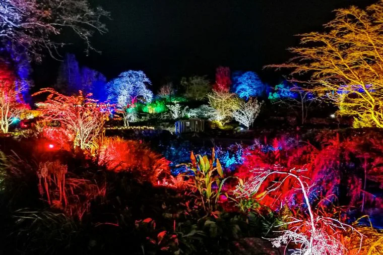 Glow Harlow Carr Christmas